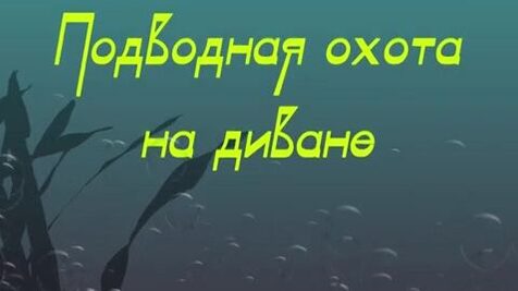 Подводная охота на Березовых островах у Приморска: мутная вода и поиск рыбы