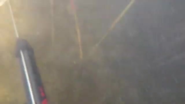Подводная охота на Березовых островах у Приморска: мутная вода и поиск рыбы