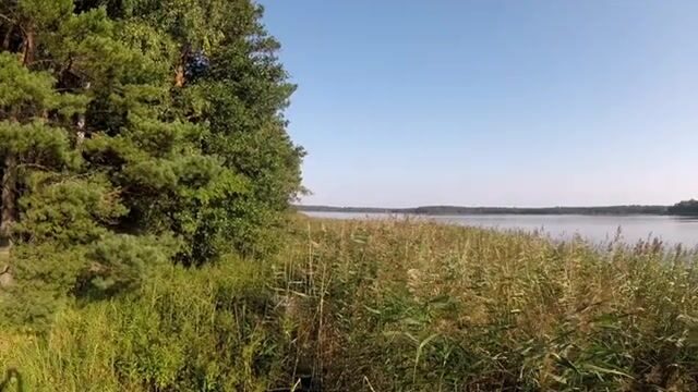 Подводная охота на Березовых островах у Приморска: мутная вода и поиск рыбы