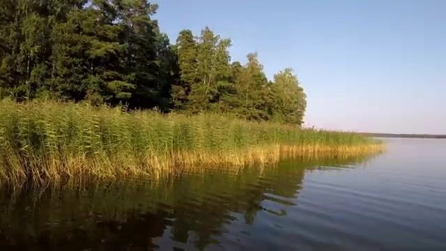 Подводная охота на Березовых островах у Приморска: мутная вода и поиск рыбы