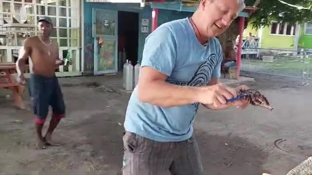 Под водой у Доминики: охота на крылатку и приготовление улова