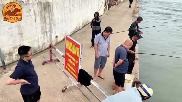 Бесплатная рыбалка в центре Куинёна: ловим на креветку рядом с местными