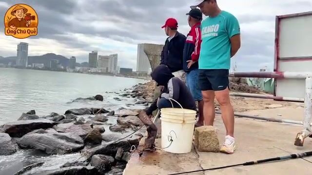 Бесплатная рыбалка в центре Куинёна: ловим на креветку рядом с местными