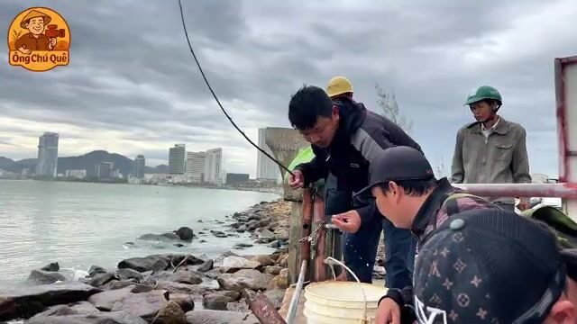 Бесплатная рыбалка в центре Куинёна: ловим на креветку рядом с местными