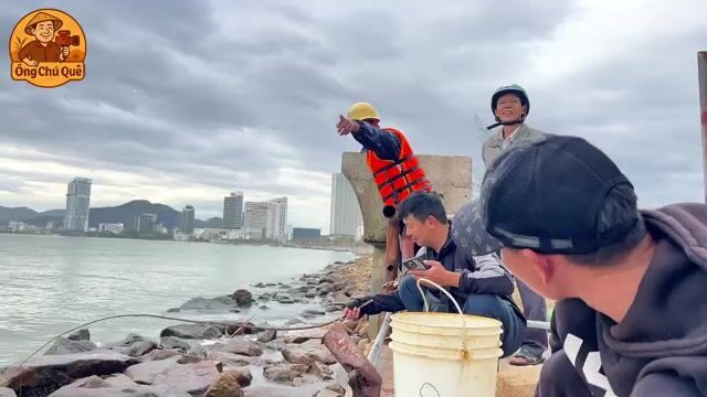 Бесплатная рыбалка в центре Куинёна: ловим на креветку рядом с местными