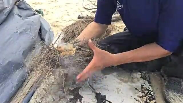 День на берегу Хочама: местные рыбаки, сеть и рыба на углях