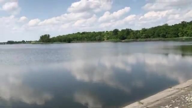 Знакомимся с озером Кривое в Сербии: карповые места и разговор с рыбаками