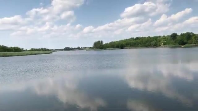Знакомимся с озером Кривое в Сербии: карповые места и разговор с рыбаками