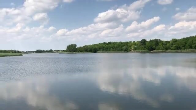 Знакомимся с озером Кривое в Сербии: карповые места и разговор с рыбаками