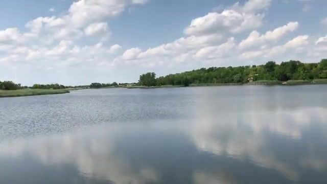 Знакомимся с озером Кривое в Сербии: карповые места и разговор с рыбаками