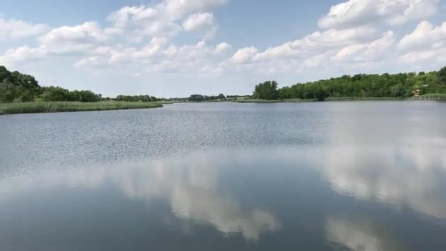 Знакомимся с озером Кривое в Сербии: карповые места и разговор с рыбаками
