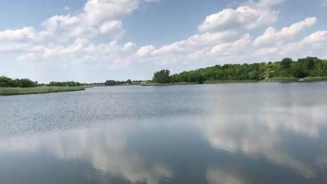 Знакомимся с озером Кривое в Сербии: карповые места и разговор с рыбаками