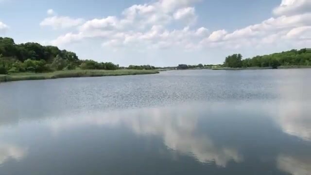 Знакомимся с озером Кривое в Сербии: карповые места и разговор с рыбаками