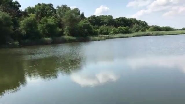 Знакомимся с озером Кривое в Сербии: карповые места и разговор с рыбаками