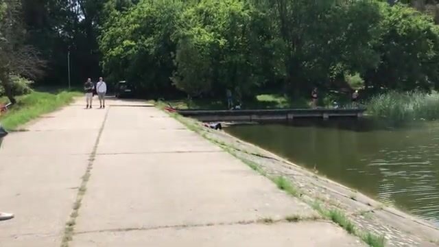 Знакомимся с озером Кривое в Сербии: карповые места и разговор с рыбаками