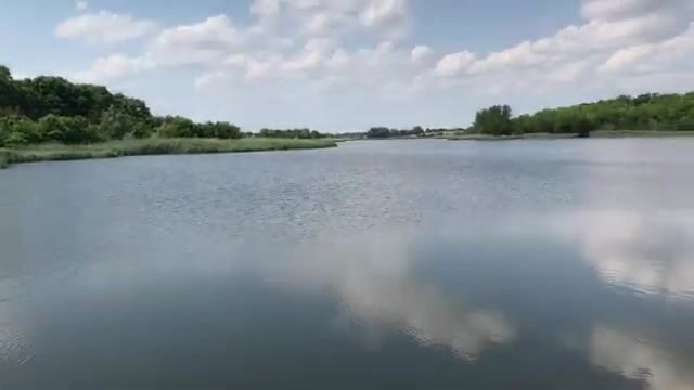 Знакомимся с озером Кривое в Сербии: карповые места и разговор с рыбаками