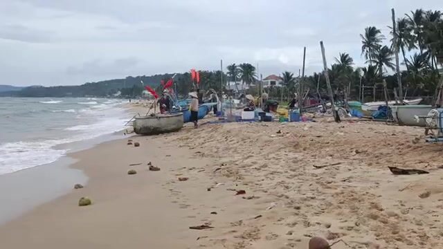 Утро в рыбацкой деревне Зыонгдонга: сельдь в сетях на берегу Фукуока
