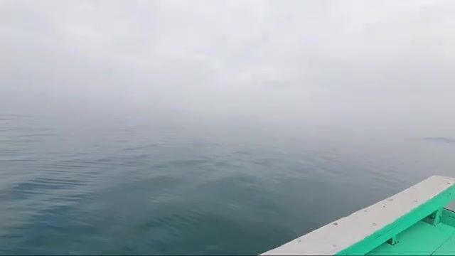 Морская рыбалка у Кото во Вьетнаме: туманное утро и ожидание первой поклевки