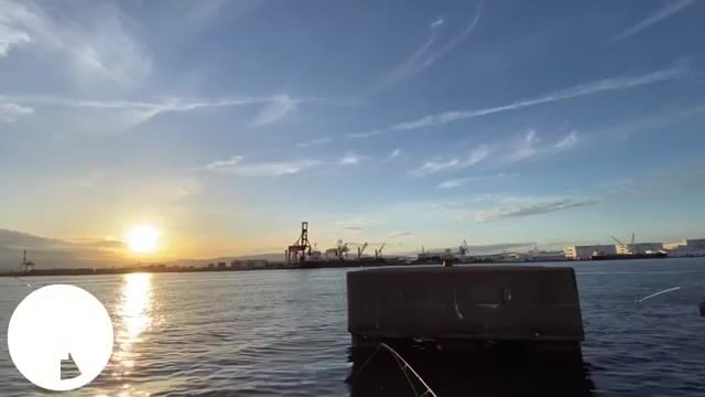Ставрида на сабики в Осаке: рыбалка у городской набережной Diamond Point
