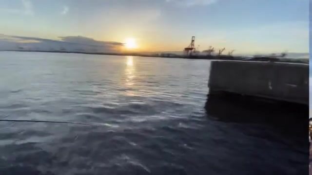 Ставрида на сабики в Осаке: рыбалка у городской набережной Diamond Point