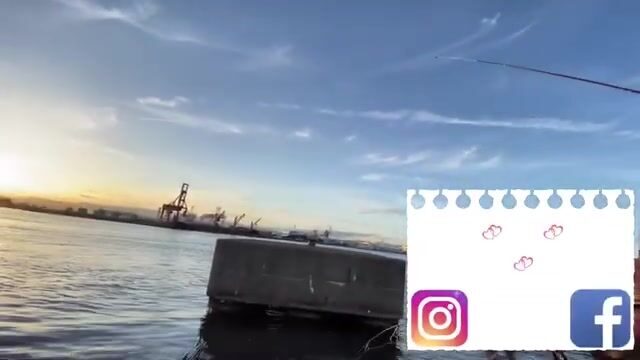 Ставрида на сабики в Осаке: рыбалка у городской набережной Diamond Point