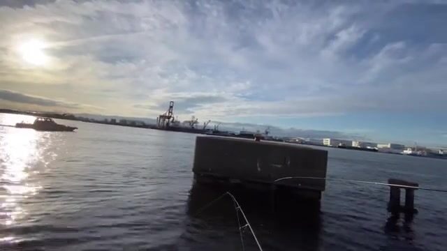 Ставрида на сабики в Осаке: рыбалка у городской набережной Diamond Point