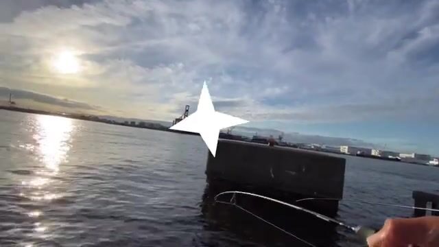 Ставрида на сабики в Осаке: рыбалка у городской набережной Diamond Point