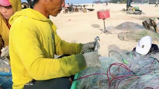 Утро на пляже Хочама во Вьетнаме: рыбаки возвращаются с крабами и свежей морской рыбой