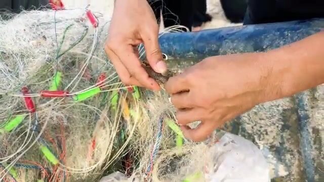 Утро на пляже Хочама во Вьетнаме: рыбаки возвращаются с крабами и свежей морской рыбой