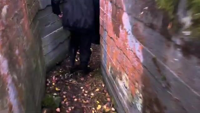 Закрытие сезона на Онежском озере у Толвуи: троллинг, островной лагерь и щука в конце поездки