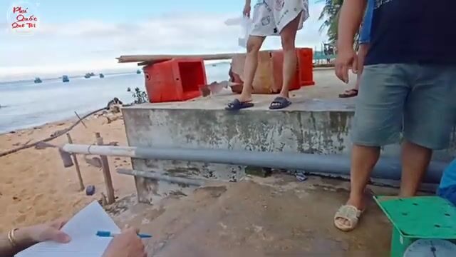 Рыбацкое утро на Фукуоке: лодки приносят свежий улов к берегу Зыонгдонга