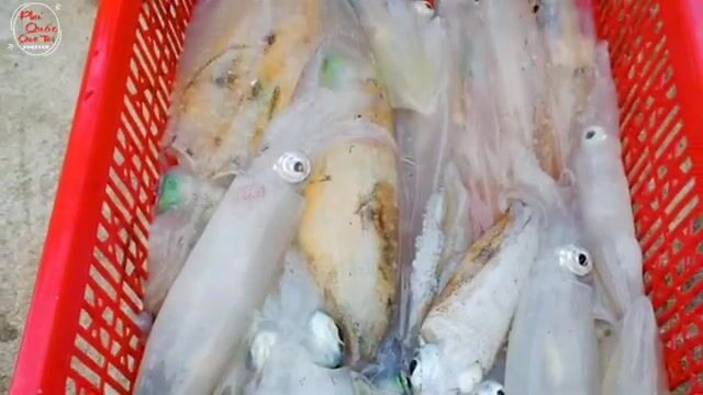 Рыбацкое утро на Фукуоке: лодки приносят свежий улов к берегу Зыонгдонга