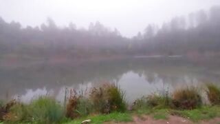 Карпы на мамалыгу и кукурузу в Румынии: холодная ночь на диком водоеме
