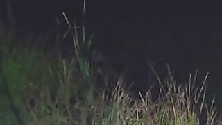Карпы на мамалыгу и кукурузу в Румынии: холодная ночь на диком водоеме