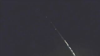Карпы на мамалыгу и кукурузу в Румынии: холодная ночь на диком водоеме