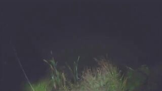 Карпы на мамалыгу и кукурузу в Румынии: холодная ночь на диком водоеме