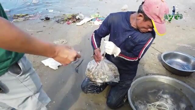 Рыбацкое утро в Лонгхае: лодки с сельдью и крабами возвращаются к берегу Вьетнама