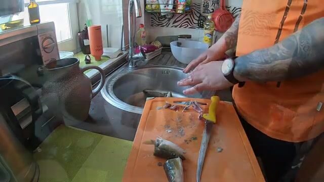 Навага в бухте Труда на Русском острове: палатка на льду, морской червь и ужин после рыбалки