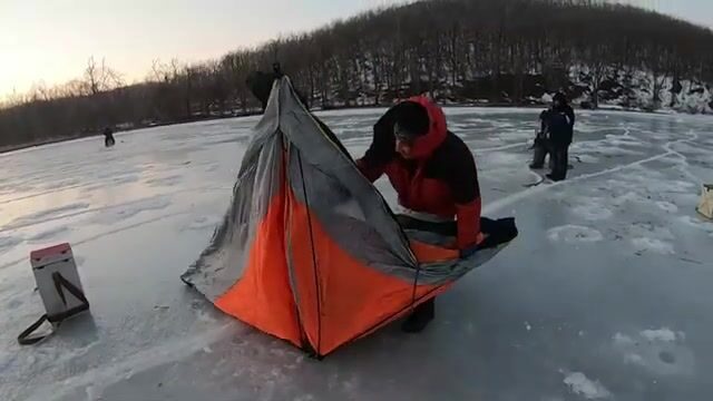 Навага в бухте Труда на Русском острове: палатка на льду, морской червь и ужин после рыбалки