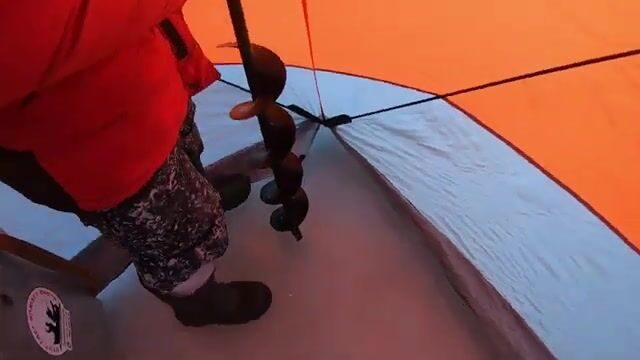 Навага в бухте Труда на Русском острове: палатка на льду, морской червь и ужин после рыбалки