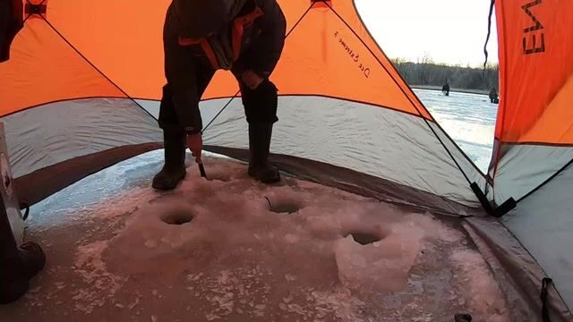 Навага в бухте Труда на Русском острове: палатка на льду, морской червь и ужин после рыбалки