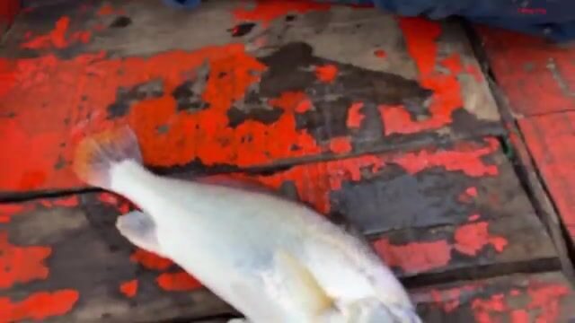 С бамбуковой удочкой у Лонгхая: рыбалка с местным рыбаком и возвращение домой перед грозой