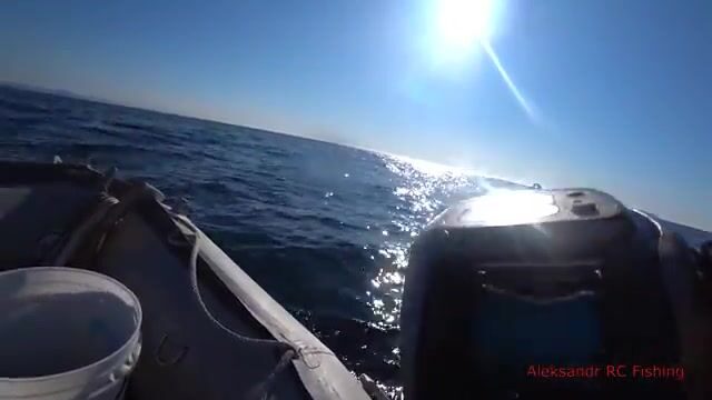 Ловля камбалы у острова Русский: рыбалка на глубине 50 метров и съемка дна подводным дроном