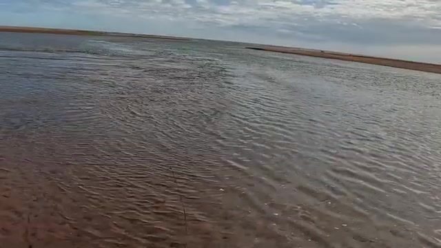 Ловля окуня на поппер у острова Принца Эдуарда: рыбалка взабродку и две рыбы на одной приманке
