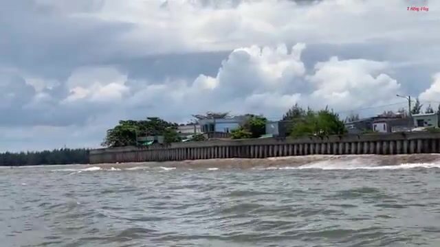 Морская рыбалка с бамбуковым удилищем у Лонгхая: червь на крючке и утренний выход на лодке