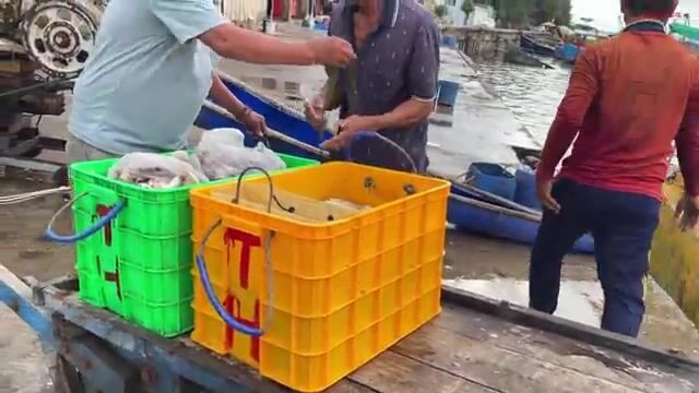 Морская рыбалка с бамбуковым удилищем у Лонгхая: червь на крючке и утренний выход на лодке