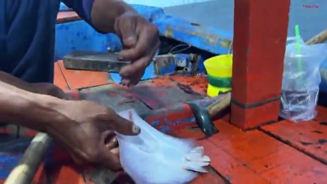 Морская рыбалка с бамбуковым удилищем у Лонгхая: червь на крючке и утренний выход на лодке