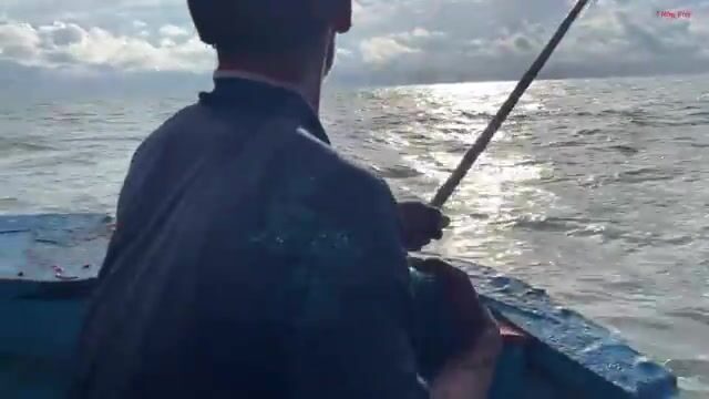 Морская рыбалка с бамбуковым удилищем у Лонгхая: червь на крючке и утренний выход на лодке