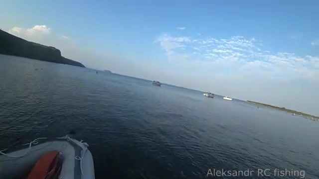 Кальмар у острова Русский во Владивостоке: ночной выход из бухты Ахлестышева с самодуром