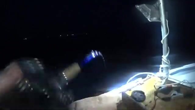 Кальмар у острова Русский во Владивостоке: ночной выход из бухты Ахлестышева с самодуром